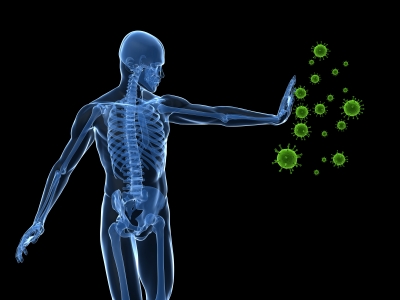 Immune System, sibosterol, 